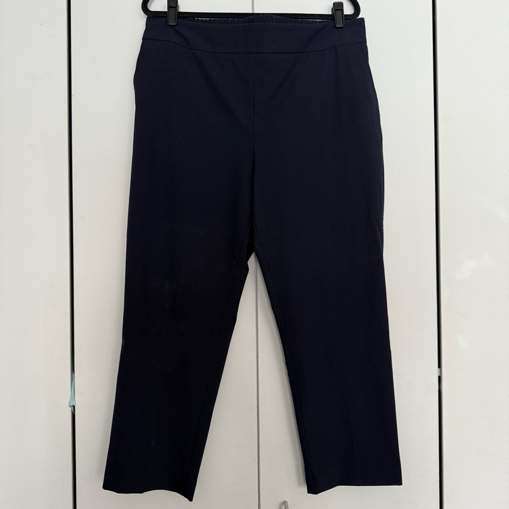 Make an offer! Rachel Zoe Navy Pants size XL